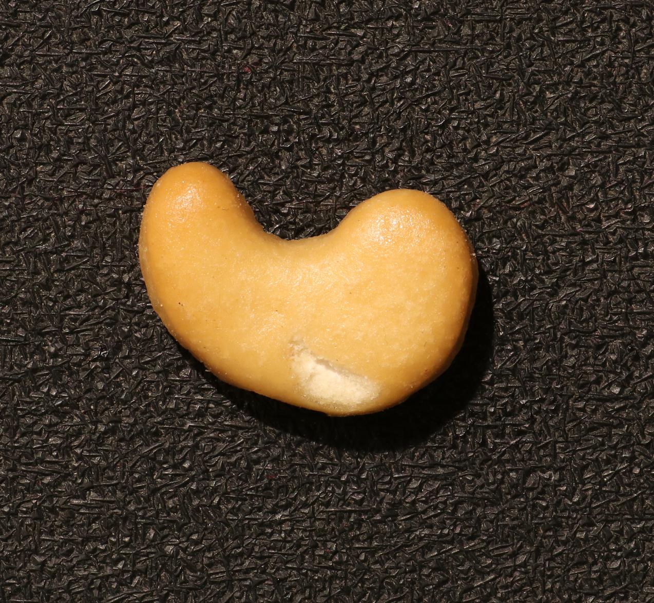 Whole cashew prior to anomaly detection